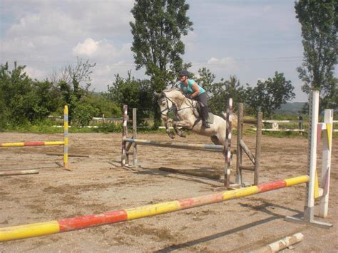 maneggio prada verona prezzi|Maneggi, Centri Ippici Ed Equestri Verona .